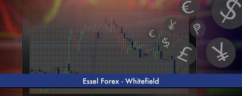 Essel Forex - Whitefield 